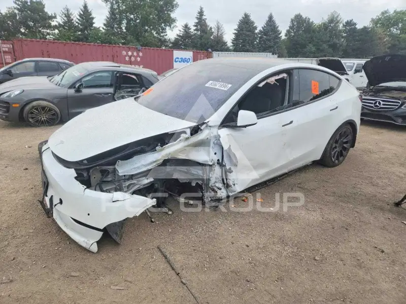 2021 Tesla Model Y photo