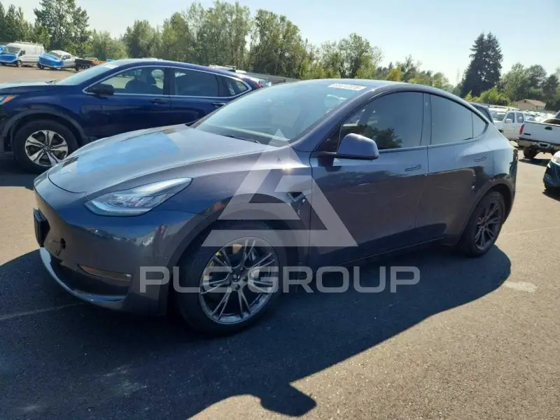 2021 Tesla Model Y фото