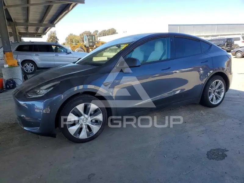 2021 Tesla Model Y фото