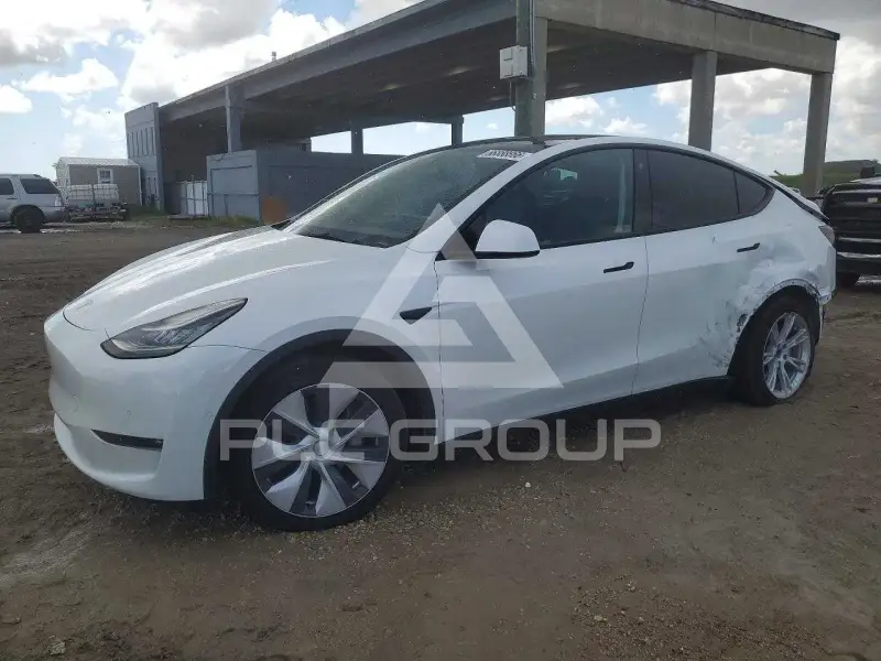 2021 Tesla Model Y photo