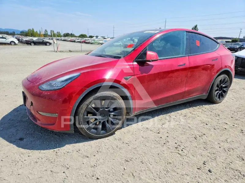 2021 Tesla Model Y фото
