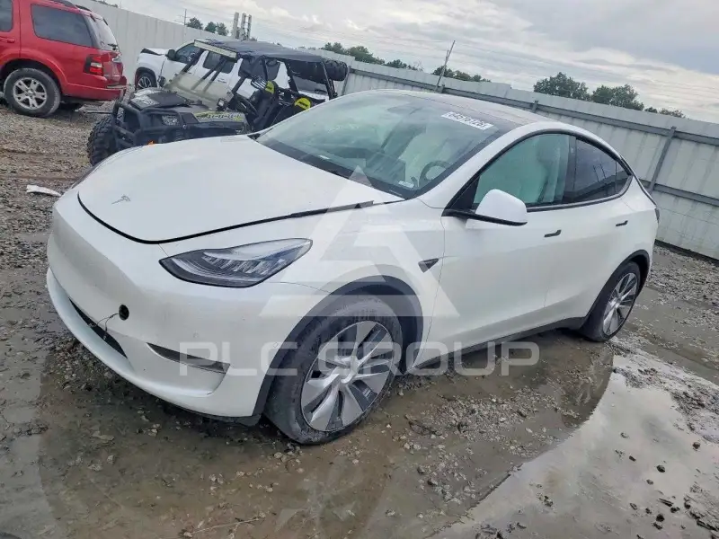 2021 Tesla Model Y фото