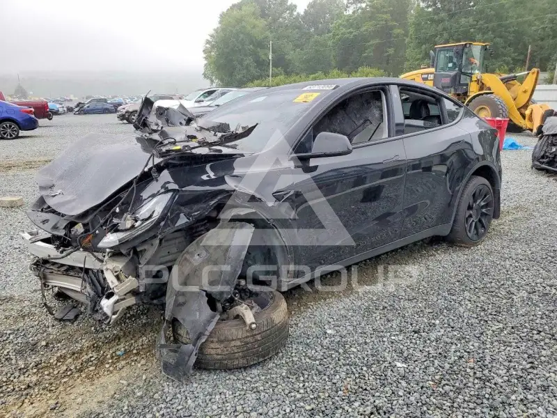 2021 Tesla Model Y photo