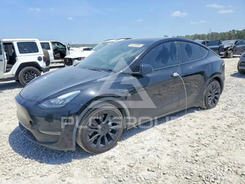 2021 Tesla Model Y фото