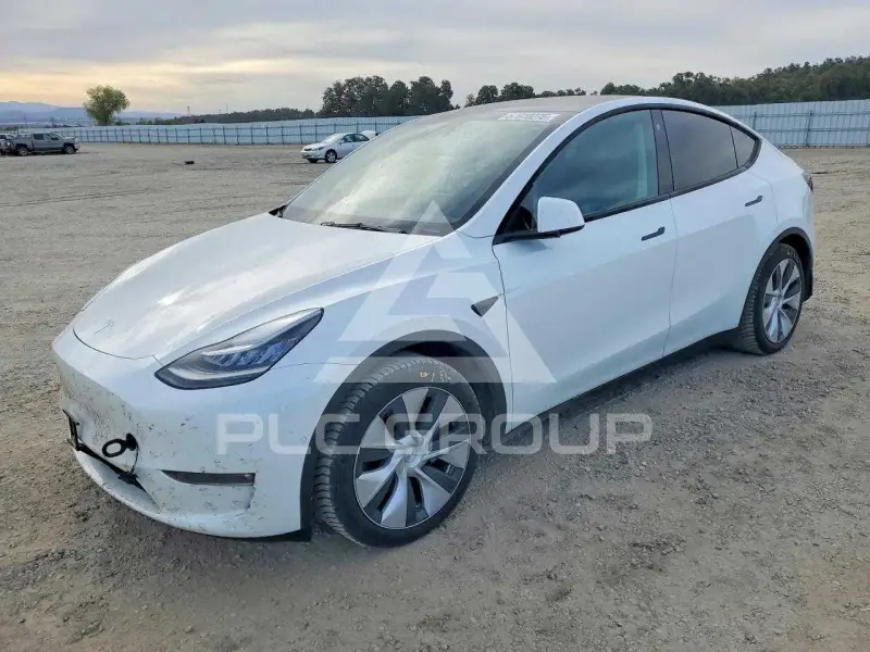 2021 Tesla Model Y фото