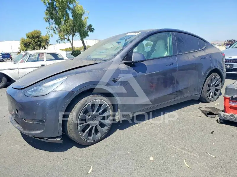 2021 Tesla Model Y фото