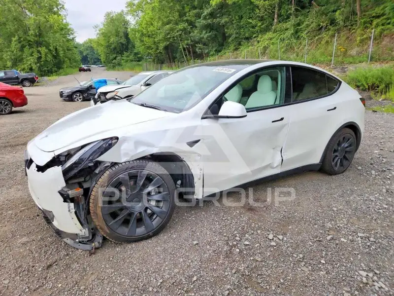 2021 Tesla Model Y фото