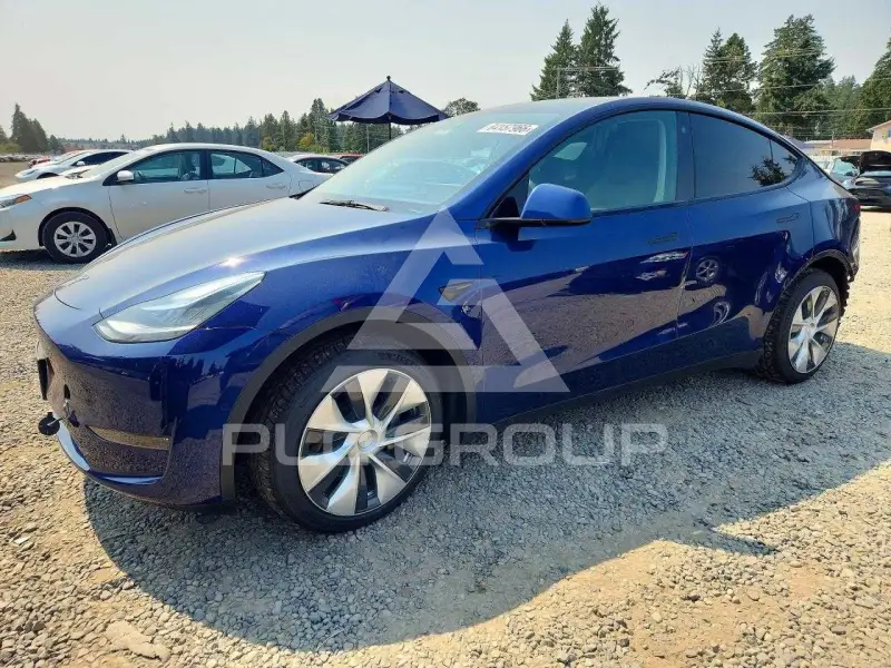 2021 Tesla Model Y photo