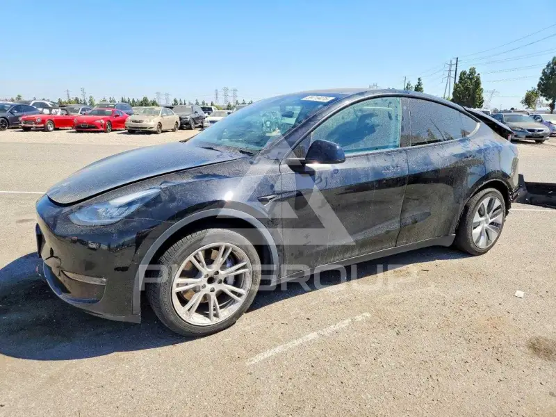 2021 Tesla Model Y фото