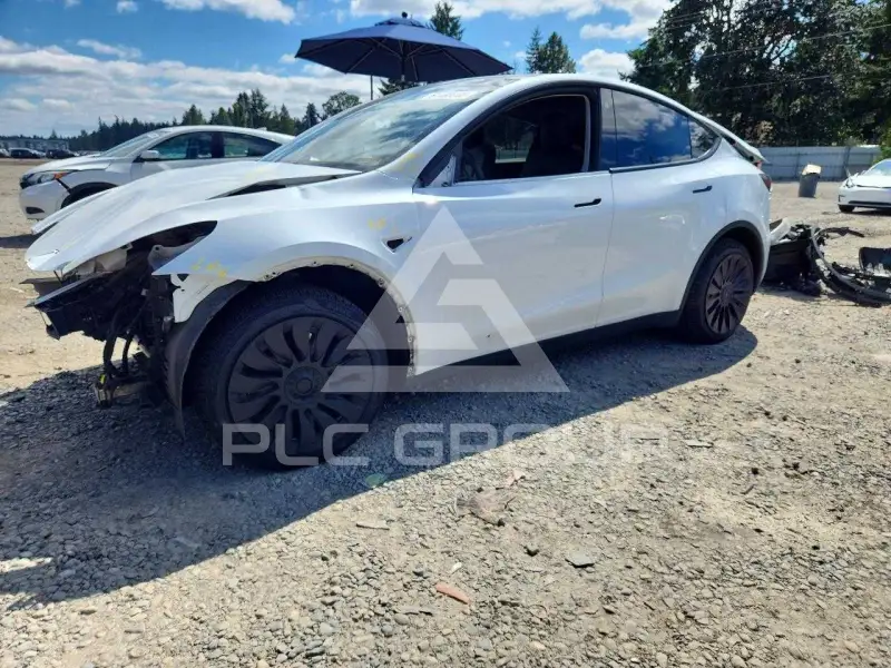 2021 Tesla Model Y photo
