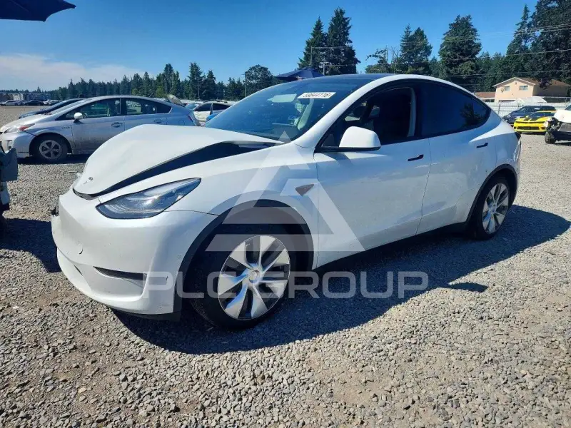 2021 Tesla Model Y фото