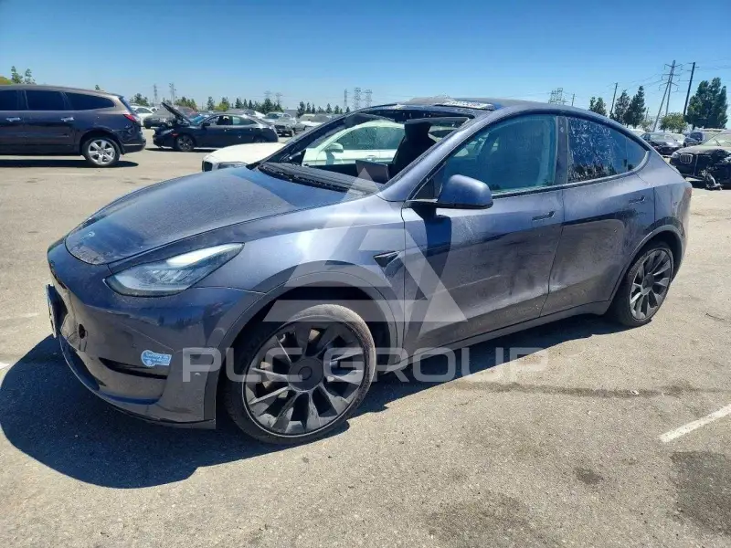 2021 Tesla Model Y photo