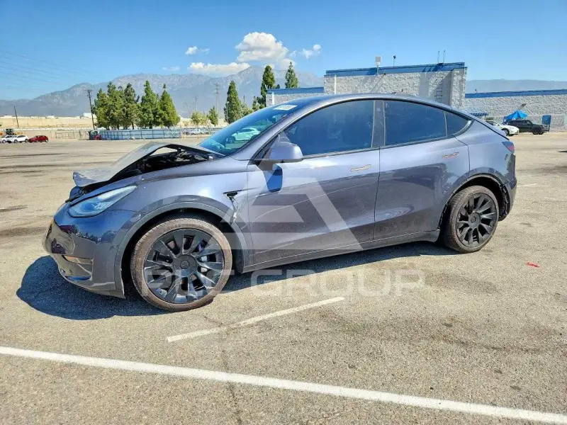 2021 Tesla Model Y photo