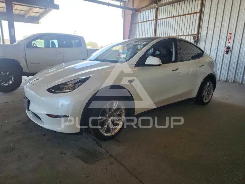 2021 Tesla Model Y фото