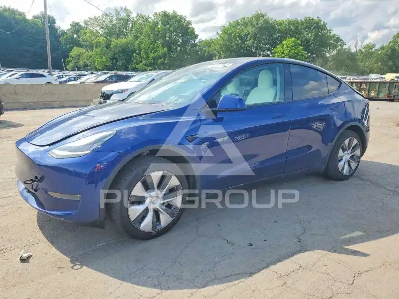 2021 Tesla Model Y фото