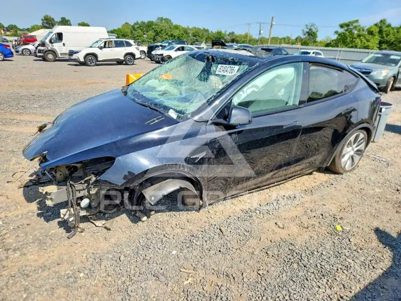 2021 Tesla Model Y фото