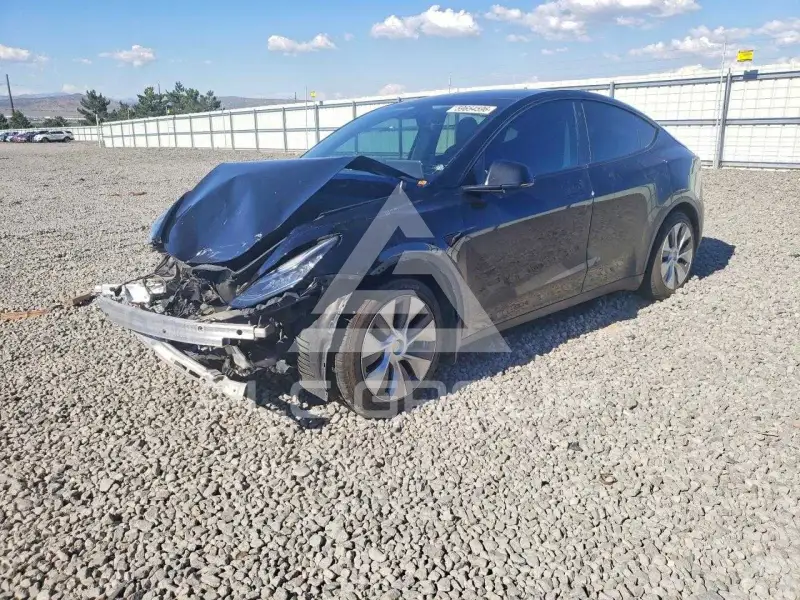 2021 Tesla Model Y фото