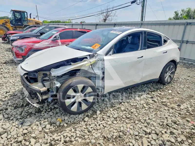 2021 Tesla Model Y photo