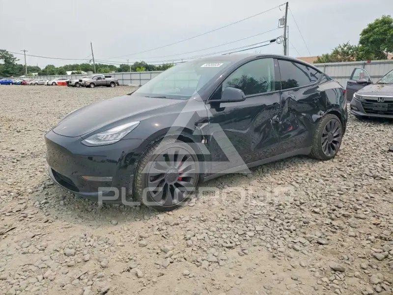 2021 Tesla Model Y фото