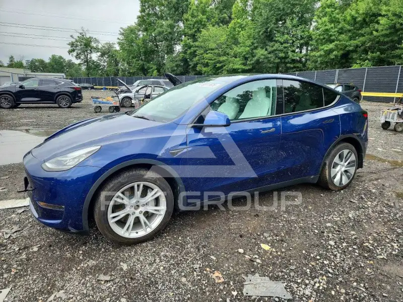 2021 Tesla Model Y фото