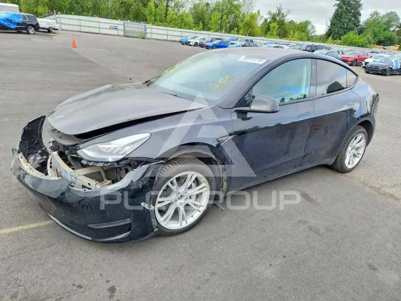 2021 Tesla Model Y фото