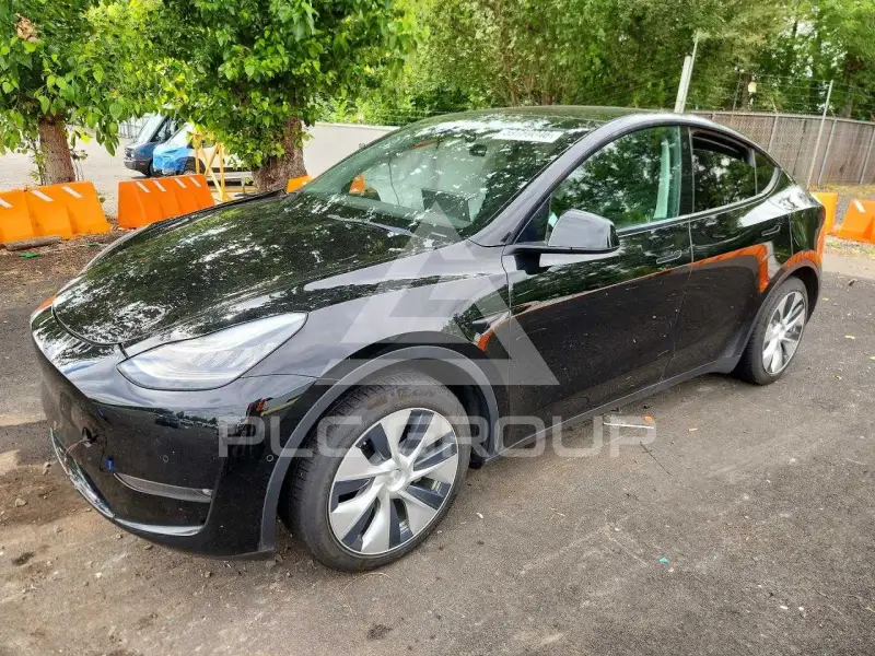 2021 Tesla Model Y фото