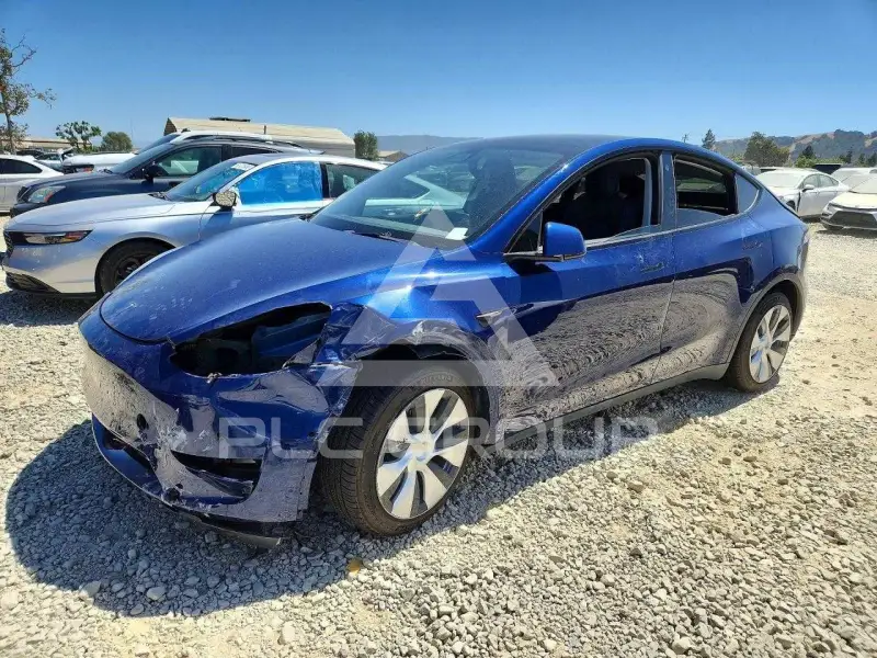 2021 Tesla Model Y фото