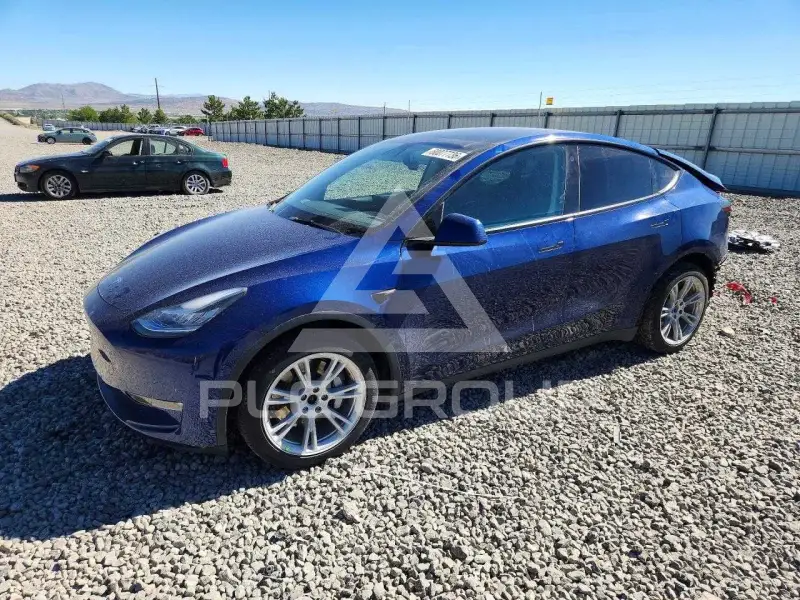 2021 Tesla Model Y photo