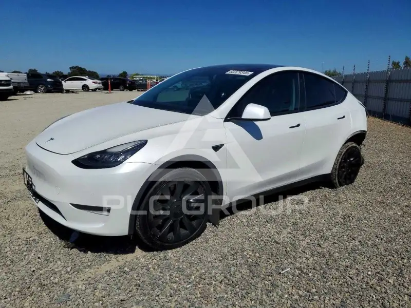 2021 Tesla Model Y фото