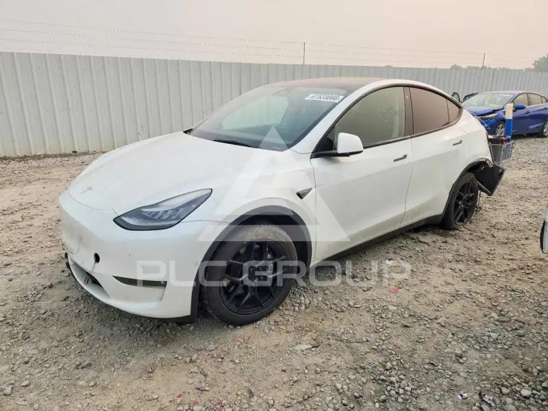 2021 Tesla Model Y фото