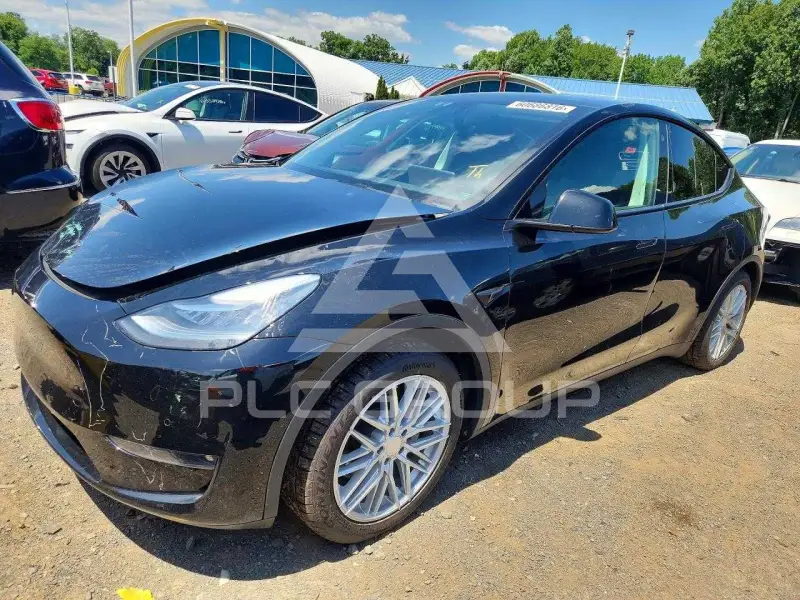 2021 Tesla Model Y фото