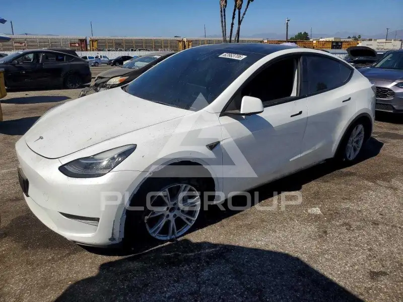 2021 Tesla Model Y фото