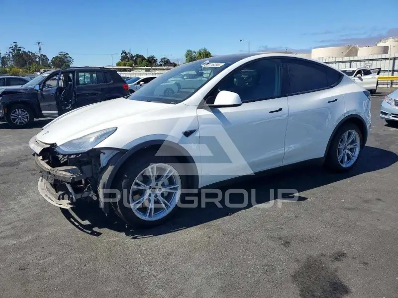 2021 Tesla Model Y photo