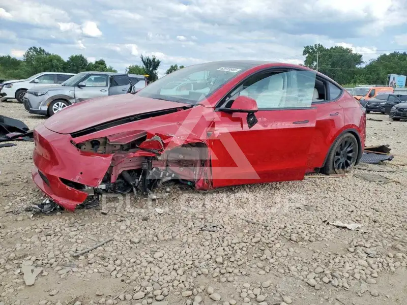 2021 Tesla Model Y фото