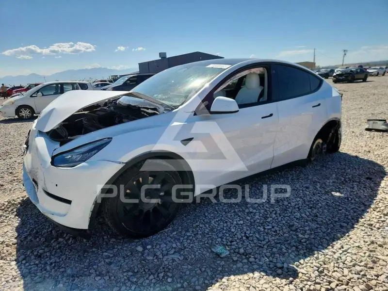 2021 Tesla Model Y фото