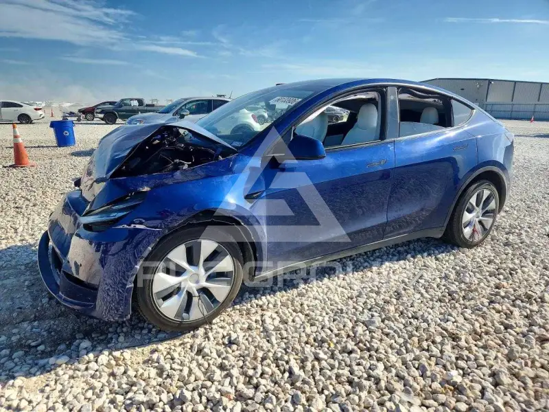 2021 Tesla Model Y фото