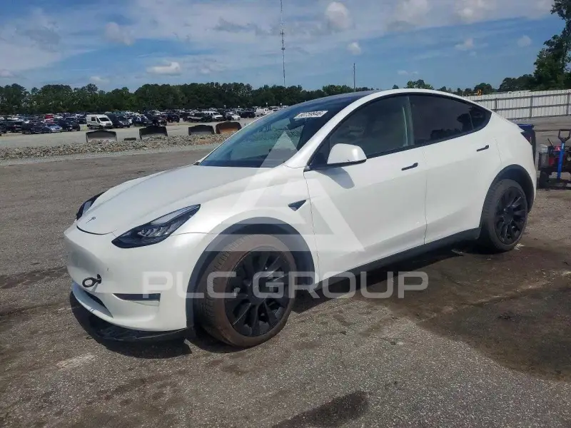 2021 Tesla Model Y photo