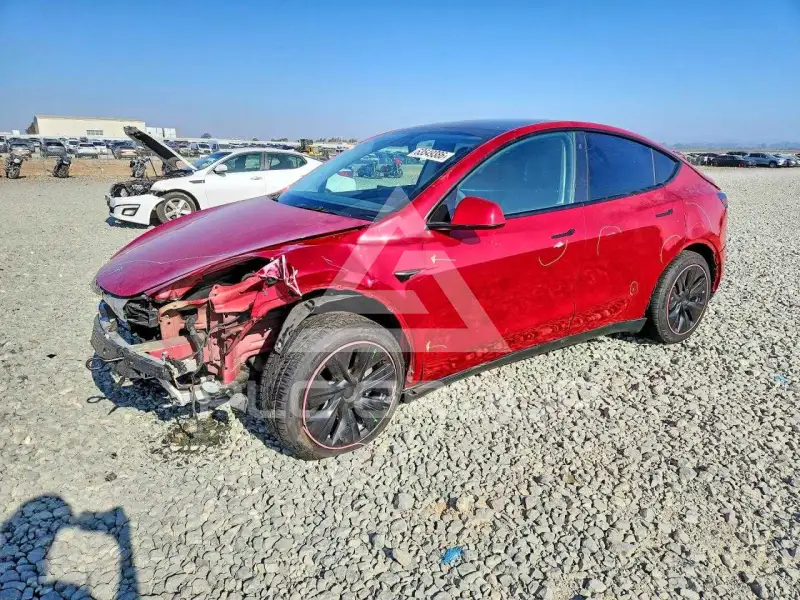 2021 Tesla Model Y фото