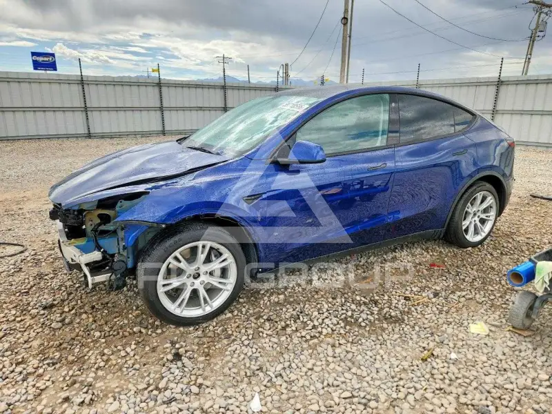 2021 Tesla Model Y фото