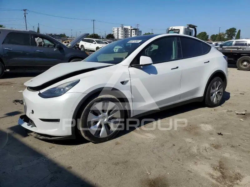 2021 Tesla Model Y photo
