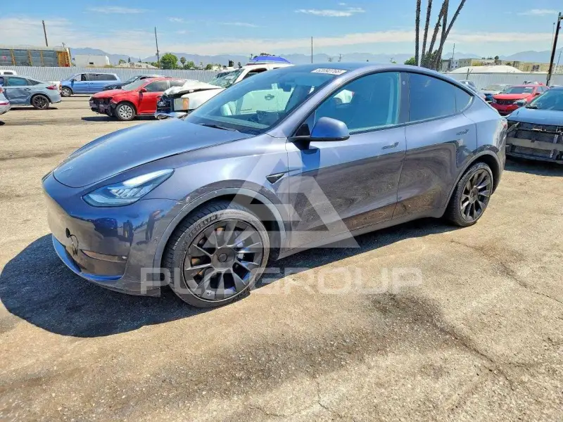 2021 Tesla Model Y фото