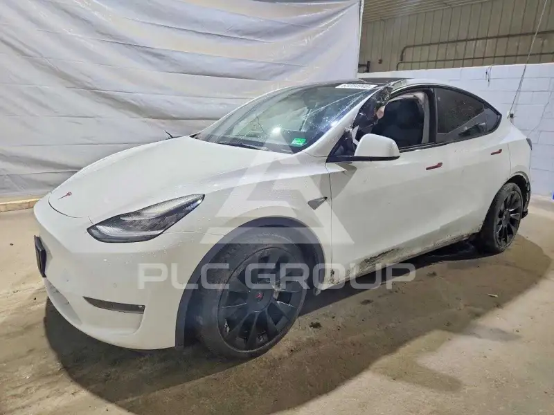 2021 Tesla Model Y фото