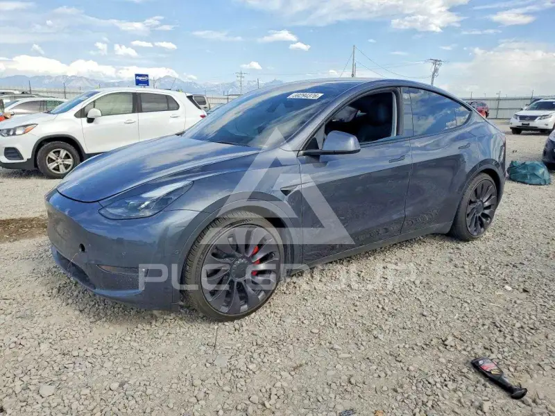 2021 Tesla Model Y фото