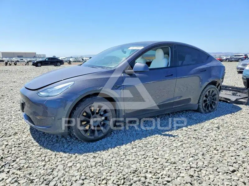 2021 Tesla Model Y фото