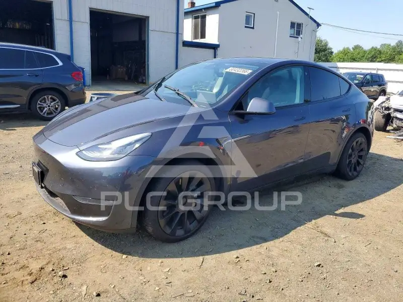 2021 Tesla Model Y фото