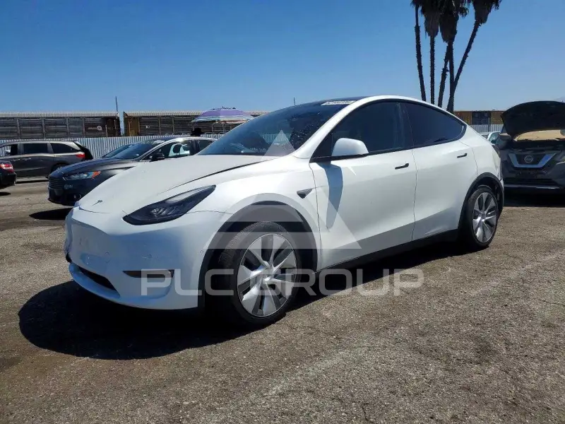 2021 Tesla Model Y фото