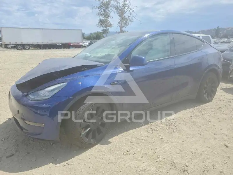 2021 Tesla Model Y фото