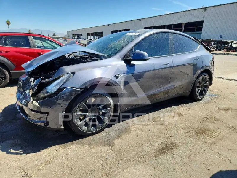 2021 Tesla Model Y фото