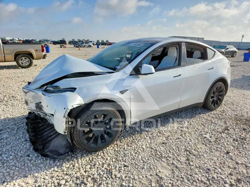 2021 Tesla Model Y фото