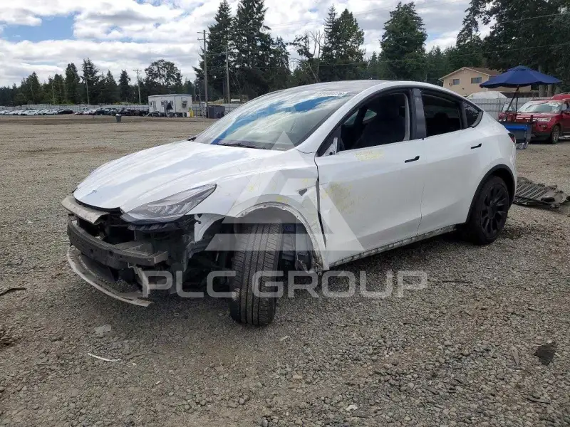 2021 Tesla Model Y фото